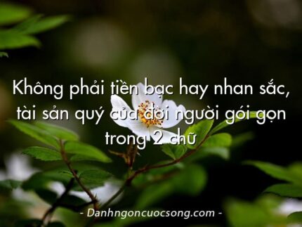 Không phải tiền bạc hay nhan sắc, tài sản quý của đời người gói gọn trong 2 chữ