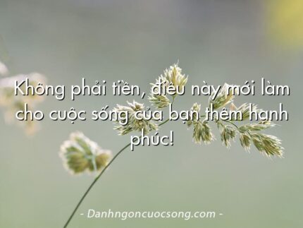 Không phải tiền, điều này mới làm cho cuộc sống của bạn thêm hạnh phúc!