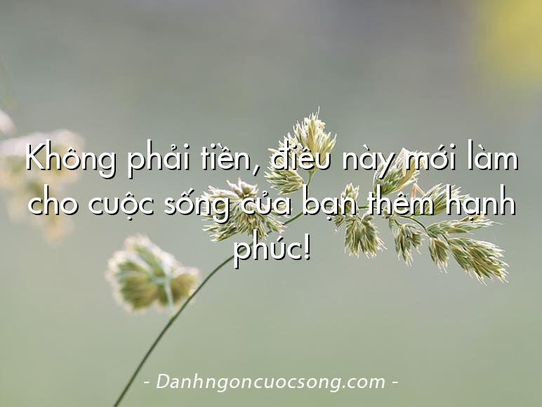 Không phải tiền, điều này mới làm cho cuộc sống của bạn thêm hạnh phúc!