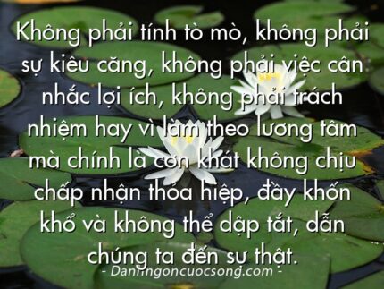 Không phải tính tò mò, không phải sự kiêu căng, không phải việc cân nhắc lợi ích, không phải trách nhiệm hay vì làm theo lương tâm mà chính là cơn khát không chịu chấp nhận thỏa hiệp, đầy khốn khổ và không thể dập tắt, dẫn chúng ta đến sự thật.