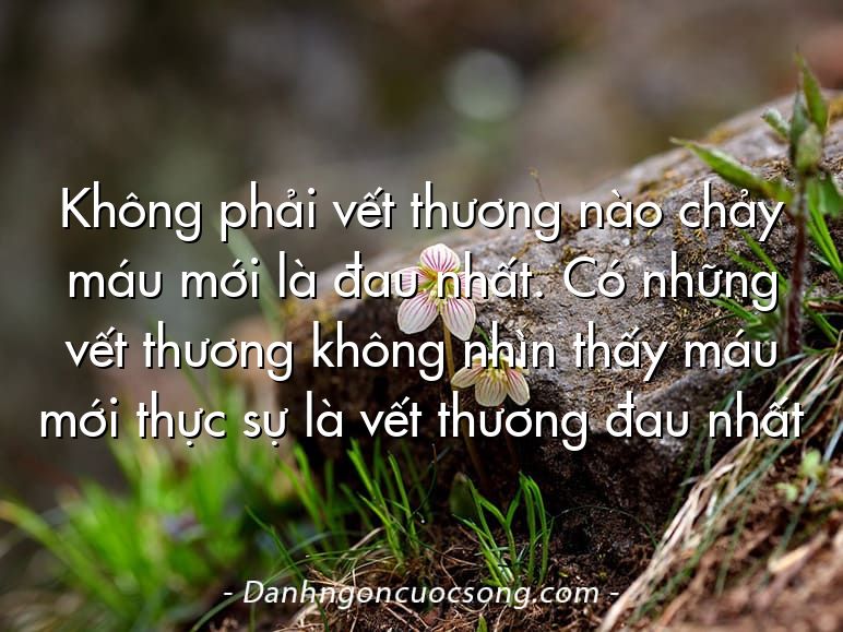 Không phải vết thương nào chảy máu mới là đau nhất. Có những vết thương không nhìn thấy máu mới thực sự là vết thương đau nhất