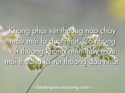 Không phải vết thương nào chảy máu mới là đau nhất. Có những vết thương không nhìn thấy máu mới thực sự là vết thương đau nhất.
