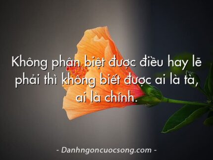 Không phân biệt được điều hay lẽ phải thì không biết được ai là tà, ai là chính.