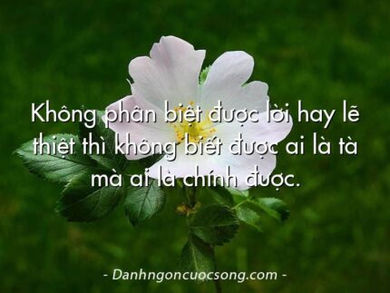 Không phân biệt được lời hay lẽ thiệt thì không biết được ai là tà mà ai là chính được.