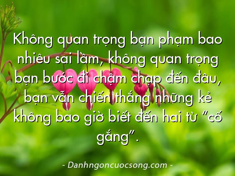 Không quan trọng bạn phạm bao nhiêu sai lầm, không quan trọng bạn bước đi chậm chạp đến đâu, bạn vẫn chiến thắng những kẻ không bao giờ biết đến hai từ “cố gắng”.