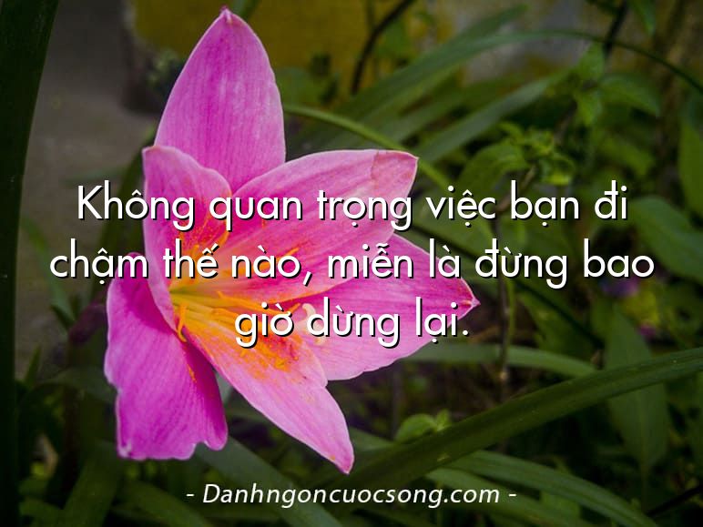 Không quan trọng việc bạn đi chậm thế nào, miễn là đừng bao giờ dừng lại.