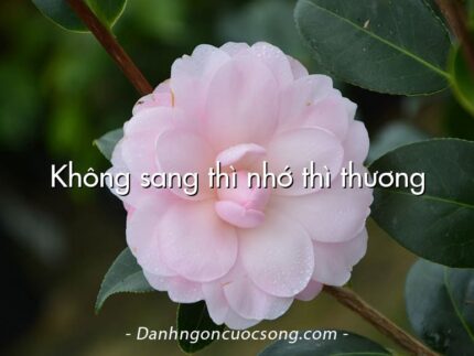 Không sang thì nhớ thì thương