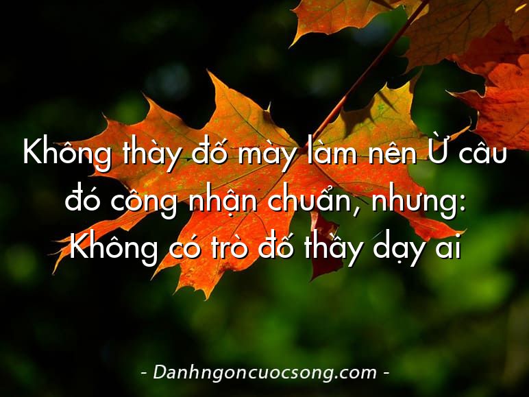 Không thày đố mày làm nên Ừ câu đó công nhận chuẩn, nhưng: Không có trò đố thầy dạy ai