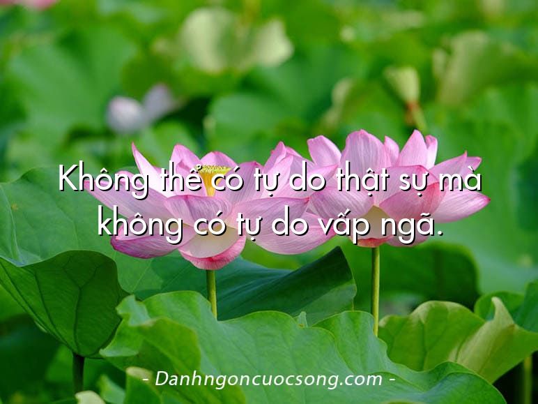 Không thể có tự do thật sự mà không có tự do vấp ngã.
