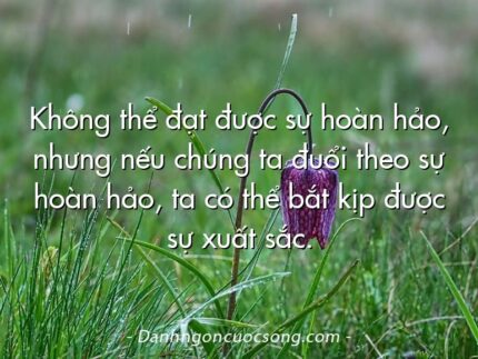 Không thể đạt được sự hoàn hảo, nhưng nếu chúng ta đuổi theo sự hoàn hảo, ta có thể bắt kịp được sự xuất sắc.