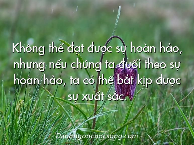 Không thể đạt được sự hoàn hảo, nhưng nếu chúng ta đuổi theo sự hoàn hảo, ta có thể bắt kịp được sự xuất sắc.