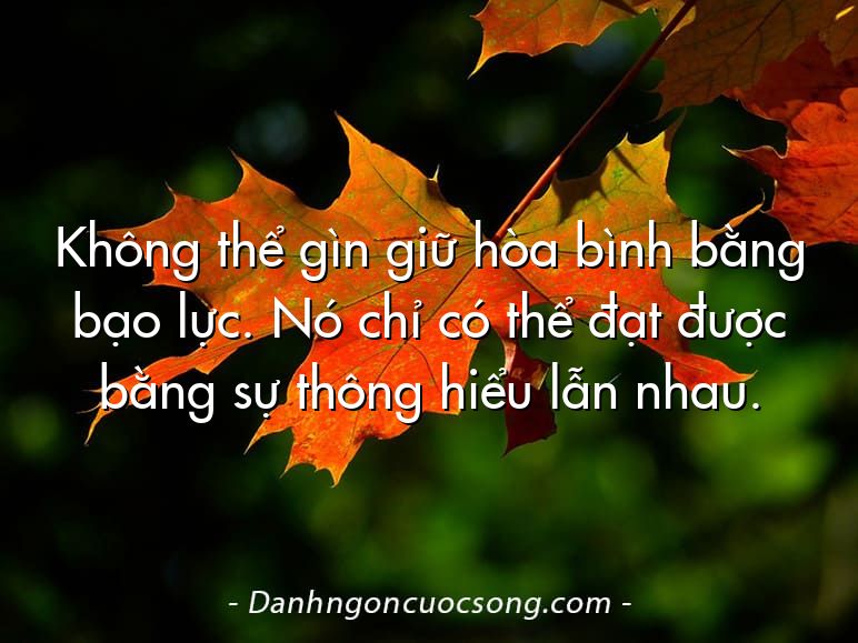 Không thể gìn giữ hòa bình bằng bạo lực. Nó chỉ có thể đạt được bằng sự thông hiểu lẫn nhau.