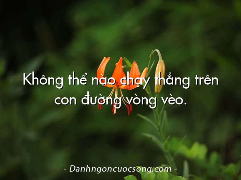 Không thể nào chạy thẳng trên con đường vòng vèo.