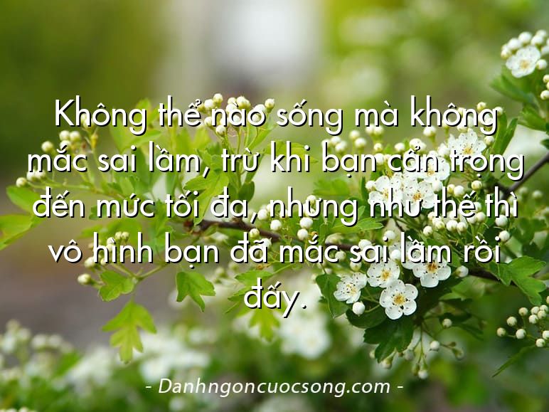 Không thể nào sống mà không mắc sai lầm, trừ khi bạn cẩn trọng đến mức tối đa, nhưng như thế thì vô hình bạn đã mắc sai lầm rồi đấy.