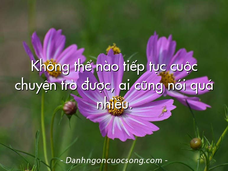 Không thể nào tiếp tục cuộc chuyện trò được, ai cũng nói quá nhiều.