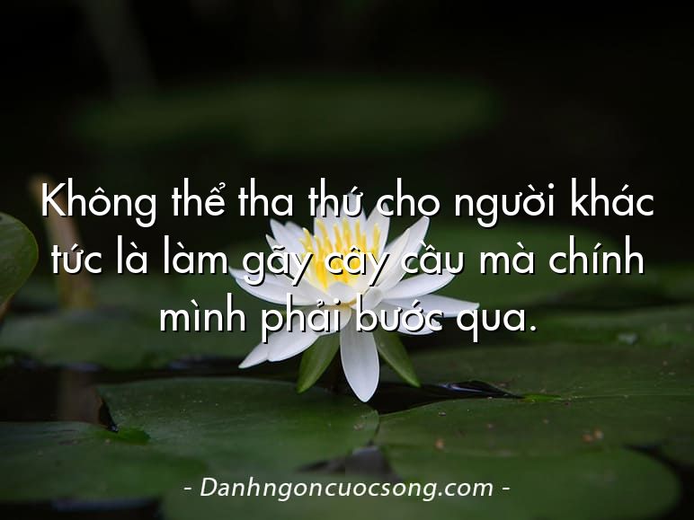 Không thể tha thứ cho người khác tức là làm gãy cây cầu mà chính mình phải bước qua.