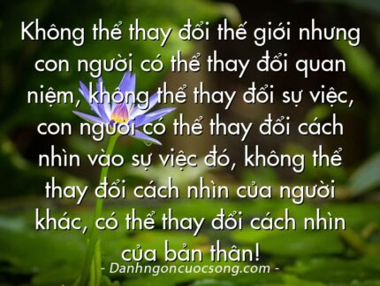 Không thể thay đổi thế giới nhưng con người có thể thay đổi quan niệm, không thể thay đổi sự việc, con người có thể thay đổi cách nhìn vào sự việc đó, không thể thay đổi cách nhìn của người khác, có thể thay đổi cách nhìn của bản thân!