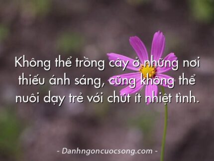 Không thể trồng cây ở những nơi thiếu ánh sáng, cũng không thể nuôi dạy trẻ với chút ít nhiệt tình.