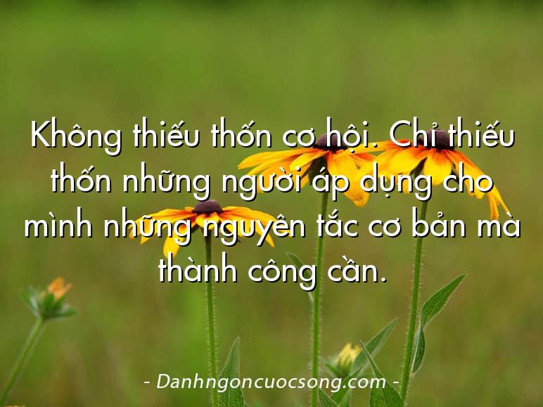 Không thiếu thốn cơ hội. Chỉ thiếu thốn những người áp dụng cho mình những nguyên tắc cơ bản mà thành công cần.