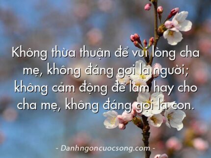 Không thừa thuận để vui lòng cha mẹ, không đáng gọi là người; không cảm động để làm hay cho cha mẹ, không đáng gọi là con.