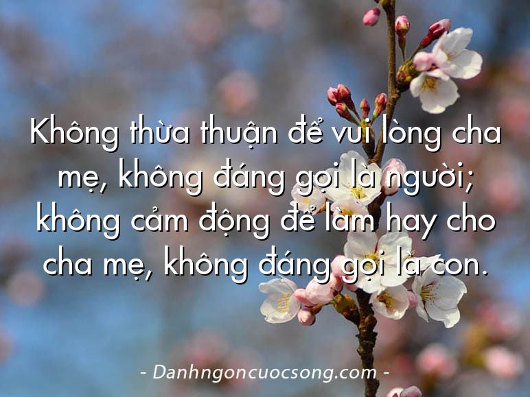 Không thừa thuận để vui lòng cha mẹ, không đáng gọi là người; không cảm động để làm hay cho cha mẹ, không đáng gọi là con.