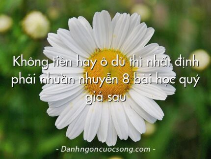 Không tiền hay ô dù thì nhất định phải nhuần nhuyễn 8 bài học quý giá sau