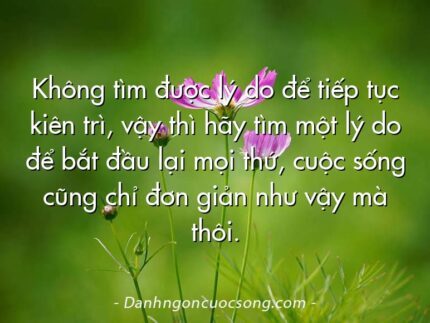 Không tìm được lý do để tiếp tục kiên trì, vậy thì hãy tìm một lý do để bắt đầu lại mọi thứ, cuộc sống cũng chỉ đơn giản như vậy mà thôi.
