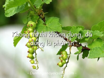 Không tin thì không dùng, đã dùng là phải tin