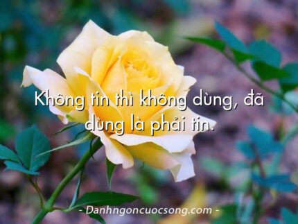 Không tin thì không dùng, đã dùng là phải tin.