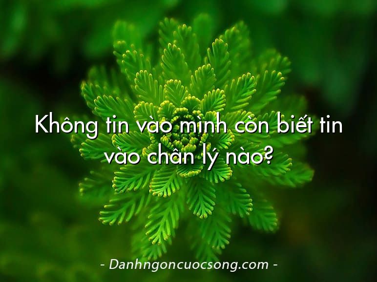 Không tin vào mình còn biết tin vào chân lý nào?