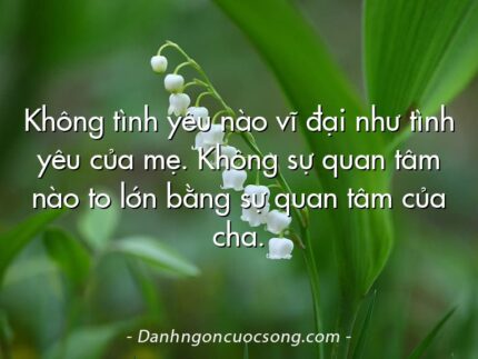 Không tình yêu nào vĩ đại như tình yêu của mẹ. Không sự quan tâm nào to lớn bằng sự quan tâm của cha.