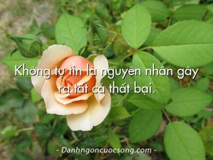 Không tự tin là nguyên nhân gây ra tất cả thất bại.