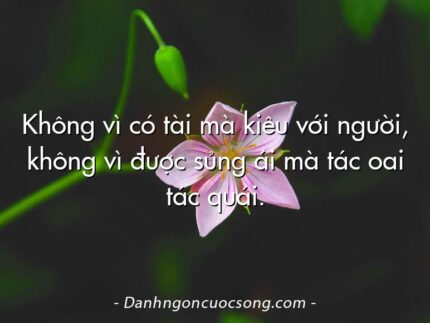 Không vì có tài mà kiêu với người, không vì được sủng ái mà tác oai tác quái.