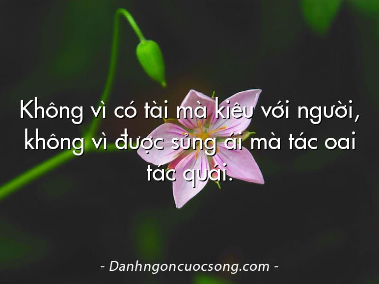 Không vì có tài mà kiêu với người, không vì được sủng ái mà tác oai tác quái.