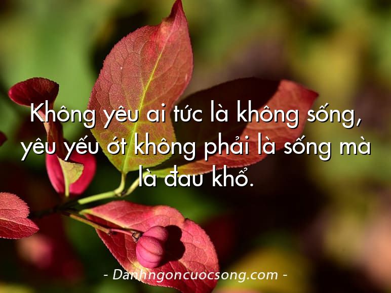 Không yêu ai tức là không sống, yêu yếu ớt không phải là sống mà là đau khổ.