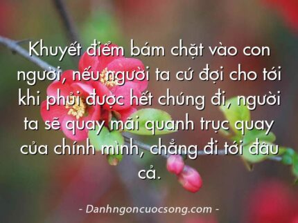 Khuyết điểm bám chặt vào con người, nếu người ta cứ đợi cho tới khi phủi được hết chúng đi, người ta sẽ quay mãi quanh trục quay của chính mình, chẳng đi tới đâu cả.