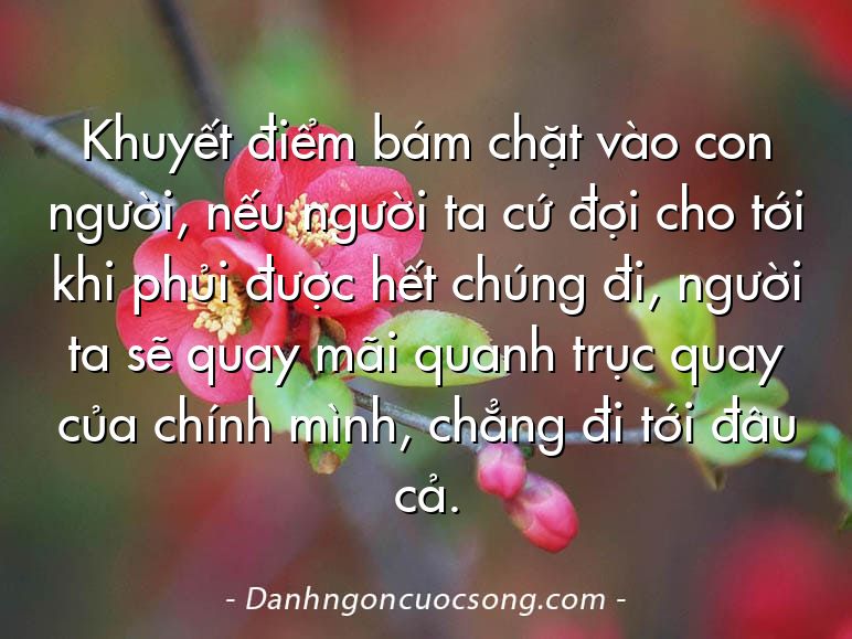 Khuyết điểm bám chặt vào con người, nếu người ta cứ đợi cho tới khi phủi được hết chúng đi, người ta sẽ quay mãi quanh trục quay của chính mình, chẳng đi tới đâu cả.