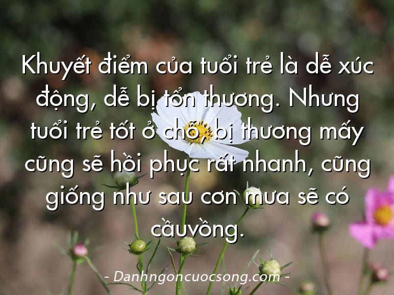 Khuyết điểm của tuổi trẻ là dễ xúc động, dễ bị tổn thương. Nhưng tuổi trẻ tốt ở chỗ, bị thương mấy cũng sẽ hồi phục rất nhanh, cũng giống như sau cơn mưa sẽ có cầuvồng.