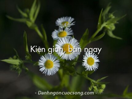 Kiện gian, bàn ngay