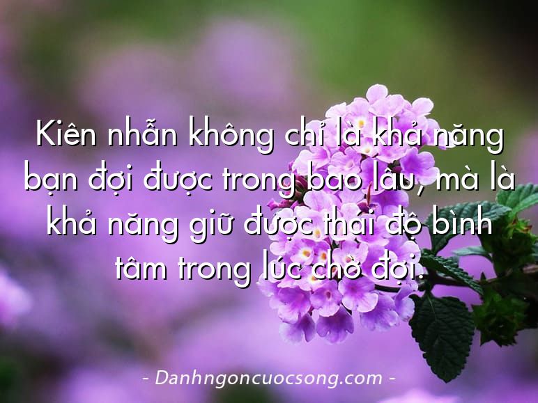 Kiên nhẫn không chỉ là khả năng bạn đợi được trong bao lâu, mà là khả năng giữ được thái độ bình tâm trong lúc chờ đợi.