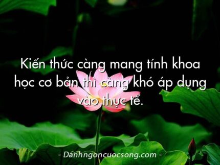 Kiến thức càng mang tính khoa học cơ bản thì càng khó áp dụng vào thực tế.