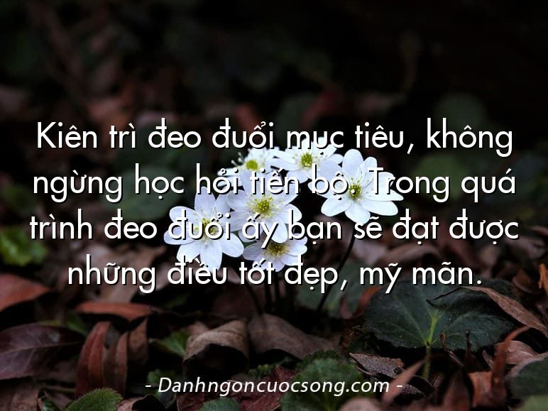 Kiên trì đeo đuổi mục tiêu, không ngừng học hỏi tiến bộ. Trong quá trình đeo đuổi ấy bạn sẽ đạt được những điều tốt đẹp, mỹ mãn.