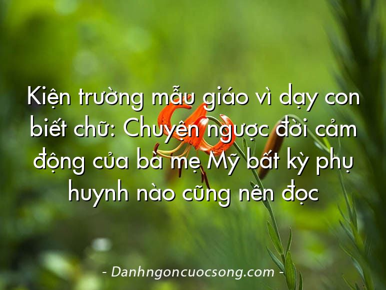 Kiện trường mẫu giáo vì dạy con biết chữ: Chuyện ngược đời cảm động của bà mẹ Mỹ bất kỳ phụ huynh nào cũng nên đọc