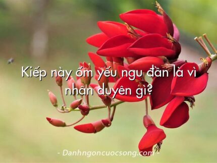 Kiếp này ốm yếu ngu đần là vì nhân duyên gì?