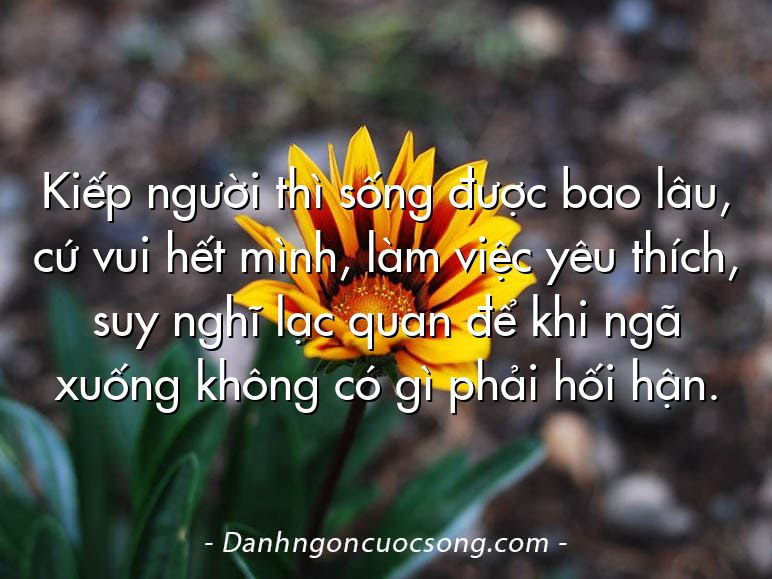 Kiếp người thì sống được bao lâu, cứ vui hết mình, làm việc yêu thích, suy nghĩ lạc quan để khi ngã xuống không có gì phải hối hận.