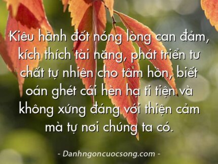 Kiêu hãnh đốt nóng lòng can đảm, kích thích tài năng, phát triển tư chất tự nhiên cho tâm hồn, biết oán ghét cái hèn hạ ti tiện và không xứng đáng với thiện cảm mà tự nơi chúng ta có.
