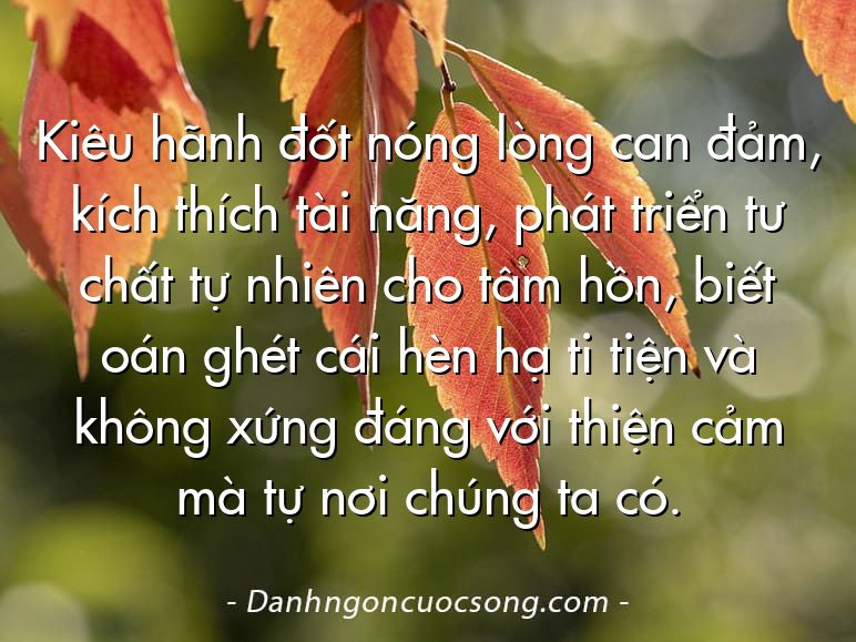 Kiêu hãnh đốt nóng lòng can đảm, kích thích tài năng, phát triển tư chất tự nhiên cho tâm hồn, biết oán ghét cái hèn hạ ti tiện và không xứng đáng với thiện cảm mà tự nơi chúng ta có.