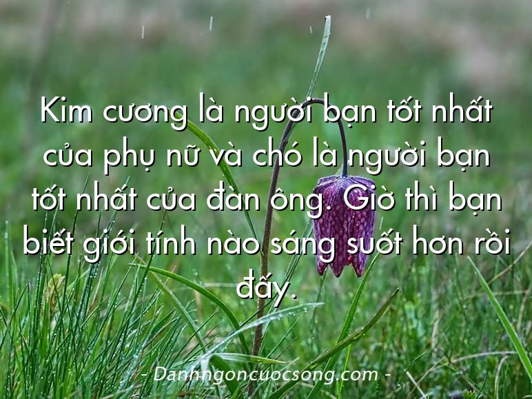 Kim cương là người bạn tốt nhất của phụ nữ và chó là người bạn tốt nhất của đàn ông. Giờ thì bạn biết giới tính nào sáng suốt hơn rồi đấy.