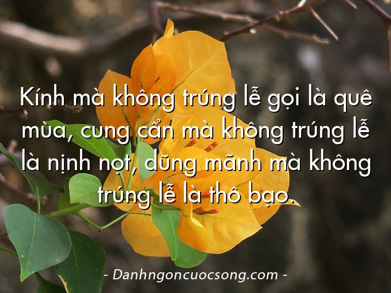 Kính mà không trúng lễ gọi là quê mùa, cung cẩn mà không trúng lễ là nịnh nọt, dũng mãnh mà không trúng lễ là thô bạo.