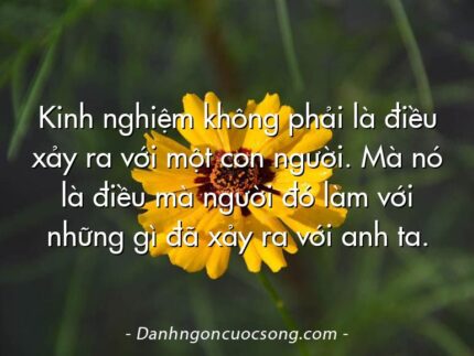 Kinh nghiệm không phải là điều xảy ra với một con người. Mà nó là điều mà người đó làm với những gì đã xảy ra với anh ta.
